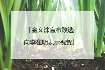 金文洙宣布败选 向李在明表示祝贺